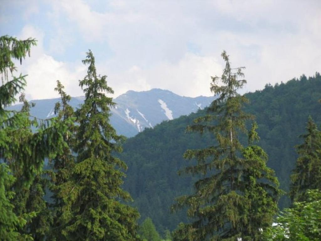 Willa Lesna Zakopane Dış mekan fotoğraf